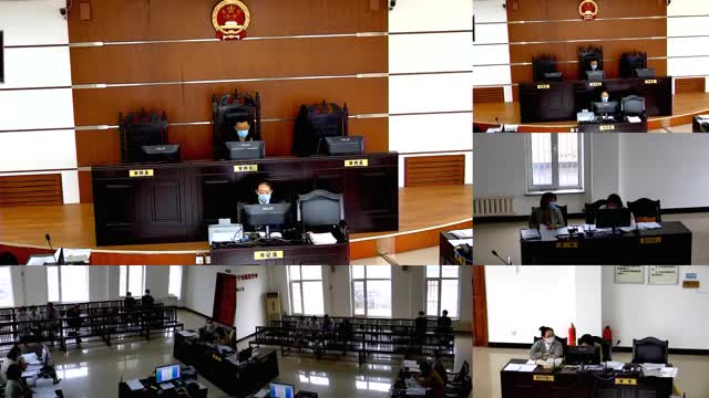 43 直播民事苑世军与赵玉林,岫岩满族自治县岫岩镇宏新村民委员会土地