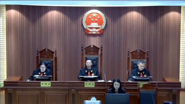 中国庭审公开网