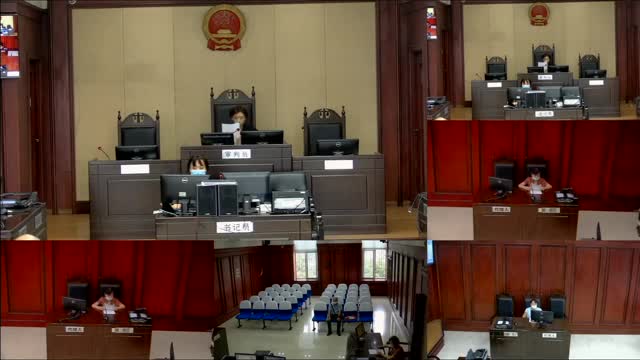 51 直播民事申请人高岩诉被申请人姜振兰申请宣告公民无民事行为能力