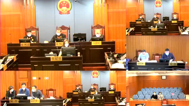 控股股份有限公司与利辛县望疃镇丹凤孔凡新家电门市部侵害商标权纠纷