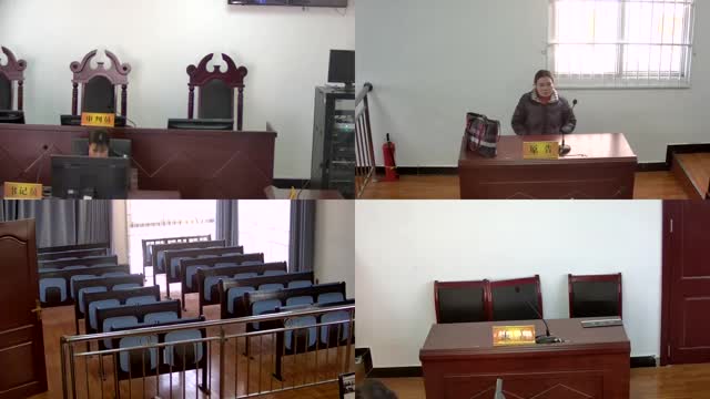 中国庭审公开网